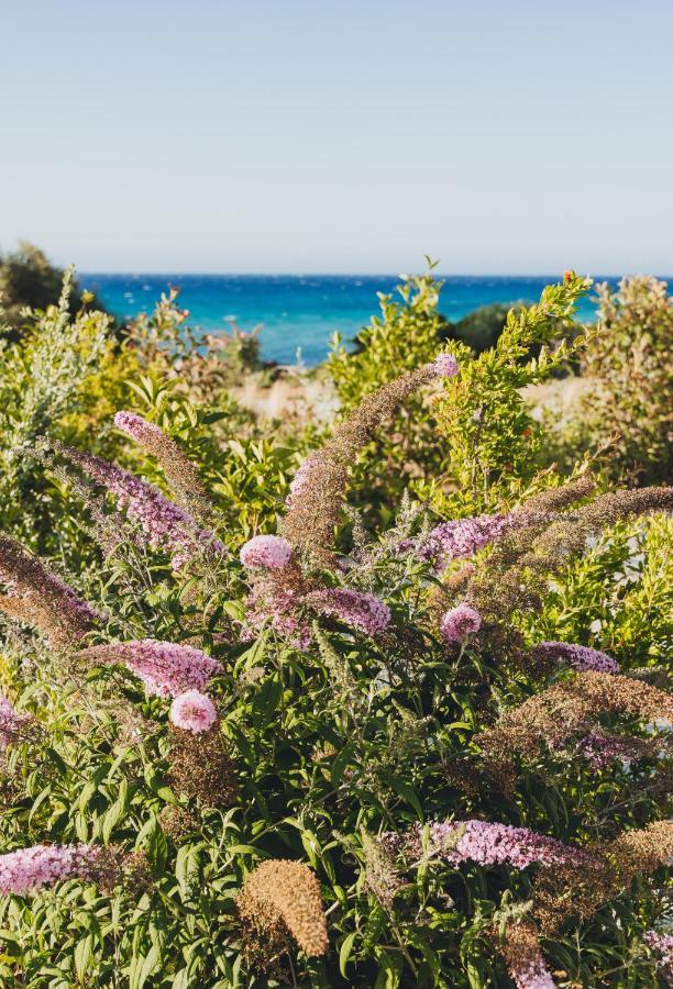 Casa Paradisu LʼÎle-Rousse المظهر الخارجي الصورة